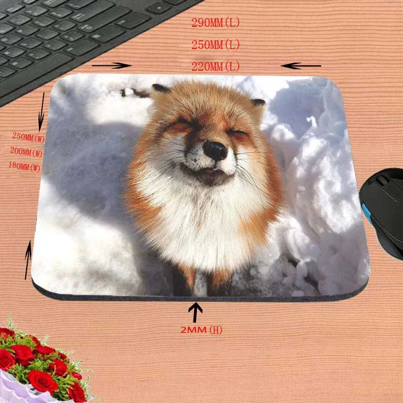 Mairuige Евтини най-Добрите Забавни Животни Deserts Ear Fox Забавен Потребителски Подложка за Мишка с размери 18*22 см и 25*29 см и 25*20 см В подарък . ' - ' . 1