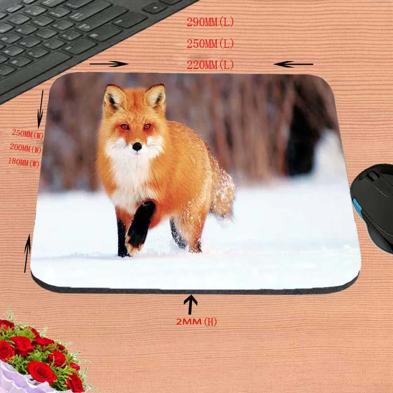 Mairuige Евтини най-Добрите Забавни Животни Deserts Ear Fox Забавен Потребителски Подложка за Мишка с размери 18*22 см и 25*29 см и 25*20 см В подарък . ' - ' . 2
