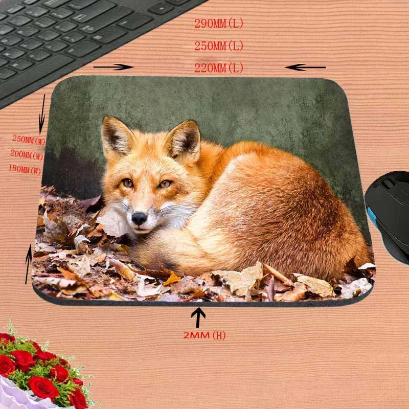 Mairuige Евтини най-Добрите Забавни Животни Deserts Ear Fox Забавен Потребителски Подложка за Мишка с размери 18*22 см и 25*29 см и 25*20 см В подарък . ' - ' . 4