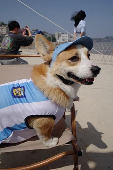 Тениска за кучета, униформи, тънък летен мрежест жилетка за домашни любимци за малки, средни и големи кучета