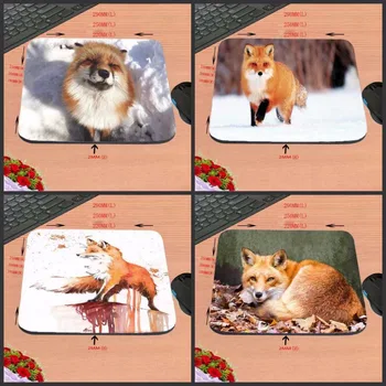 Mairuige Евтини най-Добрите Забавни Животни Deserts Ear Fox Забавен Потребителски Подложка за Мишка с размери 18*22 см и 25*29 см и 25*20 см В подарък